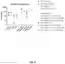 Fig. 05 - PLACENTA-DERIVED ALLOGENEIC CAR-T CELLS AND USES THEREOF