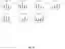 Fig. 18 - PLACENTA-DERIVED ALLOGENEIC CAR-T CELLS AND USES THEREOF