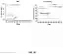 Fig. 21 - PLACENTA-DERIVED ALLOGENEIC CAR-T CELLS AND USES THEREOF