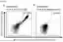 Fig. 25 - PEPTIDES AND COMBINATION OF PEPTIDES FOR USE IN IMMUNOTHERAPY AGAINST LEUKEMIAS AND OTHER CANCERS