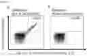 Fig. 26 - PEPTIDES AND COMBINATION OF PEPTIDES FOR USE IN IMMUNOTHERAPY AGAINST LEUKEMIAS AND OTHER CANCERS