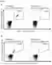 Fig. 30 - PEPTIDES AND COMBINATION OF PEPTIDES FOR USE IN IMMUNOTHERAPY AGAINST LEUKEMIAS AND OTHER CANCERS
