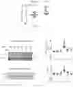 Fig. 04 - ENGINEERED TUBEROUS SCLEROSIS COMPLEX 2 POLYPEPTIDES