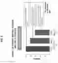 Fig. 03 - ALLOGENEIC CELL THERAPY OF B CELL MALIGNANCIES USING GENETICALLY ENGINEERED T CELLS TARGETING CD19