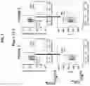 Fig. 08 - ALLOGENEIC CELL THERAPY OF B CELL MALIGNANCIES USING GENETICALLY ENGINEERED T CELLS TARGETING CD19