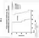 Fig. 09 - ALLOGENEIC CELL THERAPY OF B CELL MALIGNANCIES USING GENETICALLY ENGINEERED T CELLS TARGETING CD19