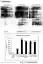 Fig. 03 - PHARMACEUTICAL PREPARATION COMPRISING SUPERNATANT OF BLOOD MONONUCLEAR CELL CULTURE AND METHOD OF USE