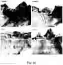 Fig. 05 - PHARMACEUTICAL PREPARATION COMPRISING SUPERNATANT OF BLOOD MONONUCLEAR CELL CULTURE AND METHOD OF USE