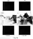 Fig. 08 - PHARMACEUTICAL PREPARATION COMPRISING SUPERNATANT OF BLOOD MONONUCLEAR CELL CULTURE AND METHOD OF USE