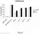 Fig. 15 - PHARMACEUTICAL PREPARATION COMPRISING SUPERNATANT OF BLOOD MONONUCLEAR CELL CULTURE AND METHOD OF USE