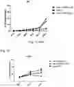 Fig. 19 - PHARMACEUTICAL PREPARATION COMPRISING SUPERNATANT OF BLOOD MONONUCLEAR CELL CULTURE AND METHOD OF USE