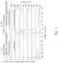 Fig. 10 - ENHANCED STEM CELL COMPOSITION