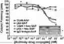 Fig. 01 - CONDITIONING AGENTS FOR USE IN ALLOGENEIC HEMATOPOETIC STEM CELL TRANSPLANTATION