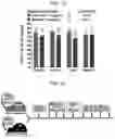 Fig. 05 - CONDITIONING AGENTS FOR USE IN ALLOGENEIC HEMATOPOETIC STEM CELL TRANSPLANTATION