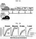 Fig. 09 - CONDITIONING AGENTS FOR USE IN ALLOGENEIC HEMATOPOETIC STEM CELL TRANSPLANTATION