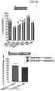 Fig. 12 - CONDITIONING AGENTS FOR USE IN ALLOGENEIC HEMATOPOETIC STEM CELL TRANSPLANTATION