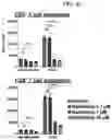 Fig. 13 - CONDITIONING AGENTS FOR USE IN ALLOGENEIC HEMATOPOETIC STEM CELL TRANSPLANTATION