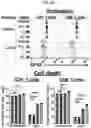 Fig. 14 - CONDITIONING AGENTS FOR USE IN ALLOGENEIC HEMATOPOETIC STEM CELL TRANSPLANTATION
