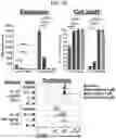 Fig. 19 - CONDITIONING AGENTS FOR USE IN ALLOGENEIC HEMATOPOETIC STEM CELL TRANSPLANTATION