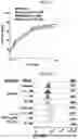 Fig. 21 - CONDITIONING AGENTS FOR USE IN ALLOGENEIC HEMATOPOETIC STEM CELL TRANSPLANTATION