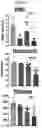 Fig. 23 - CONDITIONING AGENTS FOR USE IN ALLOGENEIC HEMATOPOETIC STEM CELL TRANSPLANTATION