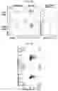 Fig. 27 - CONDITIONING AGENTS FOR USE IN ALLOGENEIC HEMATOPOETIC STEM CELL TRANSPLANTATION