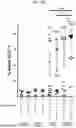 Fig. 36 - CONDITIONING AGENTS FOR USE IN ALLOGENEIC HEMATOPOETIC STEM CELL TRANSPLANTATION
