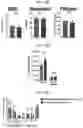 Fig. 40 - CONDITIONING AGENTS FOR USE IN ALLOGENEIC HEMATOPOETIC STEM CELL TRANSPLANTATION