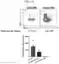 Fig. 46 - CONDITIONING AGENTS FOR USE IN ALLOGENEIC HEMATOPOETIC STEM CELL TRANSPLANTATION