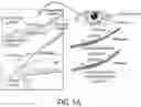 Fig. 02 - ABCB5(+) STEM CELLS FOR TREATING OCULAR DISEASE