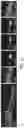 Fig. 04 - ABCB5(+) STEM CELLS FOR TREATING OCULAR DISEASE