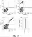 Fig. 05 - ABCB5(+) STEM CELLS FOR TREATING OCULAR DISEASE