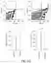 Fig. 07 - ABCB5(+) STEM CELLS FOR TREATING OCULAR DISEASE