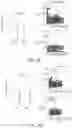 Fig. 16 - ABCB5(+) STEM CELLS FOR TREATING OCULAR DISEASE
