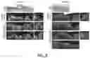 Fig. 25 - ABCB5(+) STEM CELLS FOR TREATING OCULAR DISEASE