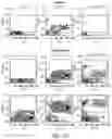 Fig. 27 - ABCB5(+) STEM CELLS FOR TREATING OCULAR DISEASE