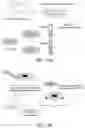 Fig. 32 - ABCB5(+) STEM CELLS FOR TREATING OCULAR DISEASE