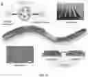 Fig. 02 - NANOFIBROUS ENCAPSULATION DEVICE FOR SAFE DELIVERY OF THERAPEUTIC AGENTS