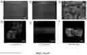 Fig. 09 - NANOFIBROUS ENCAPSULATION DEVICE FOR SAFE DELIVERY OF THERAPEUTIC AGENTS