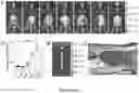 Fig. 13 - NANOFIBROUS ENCAPSULATION DEVICE FOR SAFE DELIVERY OF THERAPEUTIC AGENTS