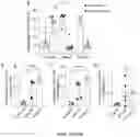 Fig. 22 - NANOFIBROUS ENCAPSULATION DEVICE FOR SAFE DELIVERY OF THERAPEUTIC AGENTS