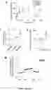 Fig. 35 - NANOFIBROUS ENCAPSULATION DEVICE FOR SAFE DELIVERY OF THERAPEUTIC AGENTS