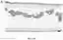 Fig. 54 - NANOFIBROUS ENCAPSULATION DEVICE FOR SAFE DELIVERY OF THERAPEUTIC AGENTS