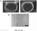 Fig. 61 - NANOFIBROUS ENCAPSULATION DEVICE FOR SAFE DELIVERY OF THERAPEUTIC AGENTS