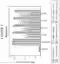 Fig. 09 - MAPC TREATMENT OF BRAIN INJURIES AND DISEASES