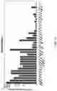 Fig. 11 - ENRICHED MULTILAYER AMNION DERIVED TISSUE GRAFT