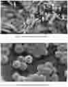 Fig. 02 - Method and System to Improve the Health of a Person's Skin Microbiome