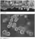 Fig. 04 - Method and System to Improve the Health of a Person's Skin Microbiome