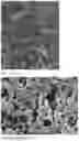 Fig. 05 - Method and System to Improve the Health of a Person's Skin Microbiome
