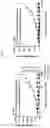 Fig. 03 - LACTOBACILLUS FERMENTUM WIKIM0102 HAVING ANTICANCER ACTIVITY AND COMPOSITION COMPRISING SAME AS ACTIVE INGREDIENT